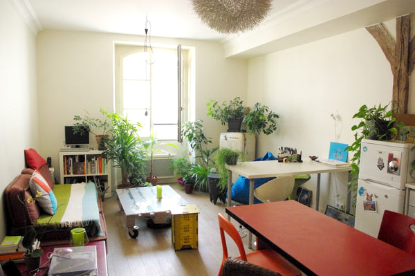 Profitez de Paris en séjournant dans ce 2 pièces spacieux et accueillant dans un Paris, France Confortable 2 p. proche Bastille Entire rental unit vacation rental 3660091