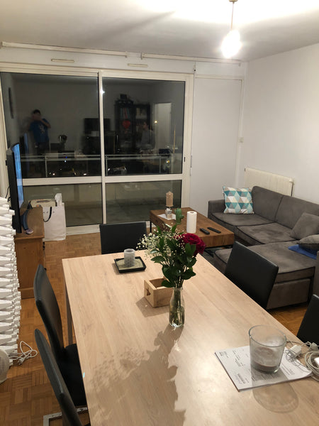 Appartement calme, grand et agréable Bordeaux, France Appartement Lyon 7 parc blandan Entire rental unit vacation rental 23103477