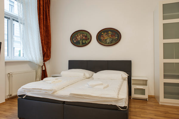 Newly designed and renovated apartment in Vienna's 9th district. One bedroom, co Vienna, Austria Smart-Studio Top 6 Entire rental unit vacation rental 30926022