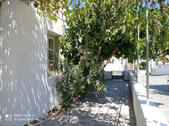 Gala Home Traditional house is a traditional Naxian holiday home set in Galanado Greece Gala Home Traditional House Cycladic home vacation rental 42308834