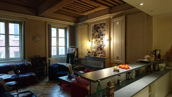 Grand appartement typique des pentes, cheminées, parquet, poutres apparentes. Gr Lyon, France Chambre 20m2 dans colocation Private room in rental unit vacation rental 11156301