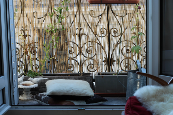 Welcome to my home ! Rue de lancry,  heart of Republique - Canal St Martin with  Paris, France Cosy parisian flat 1BR - Republique Entire rental unit vacation rental 7113719