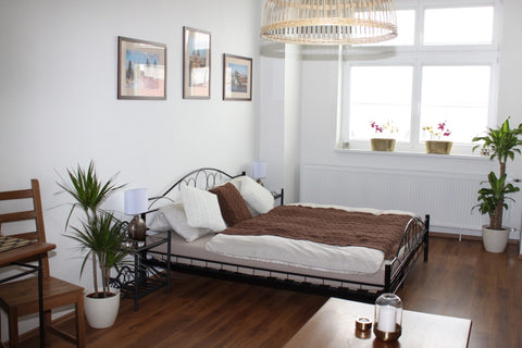 Beautiful  appartment (40m2) located in the beautiful residential area of Prague Prague, Czechia Lenka's cozy GOLD appartment Entire condo vacation rental 12636106