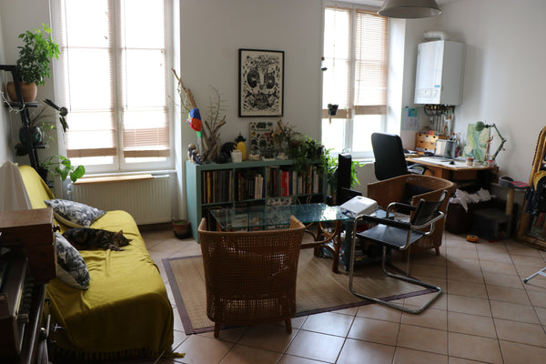 Appartement de 54m², spacieux, chaleureux et lumineux avec un grand séjour compo Lyon, France Chambre dans un appart cosy en plein coeur de Lyon Private room in rental unit vacation rental 30029405