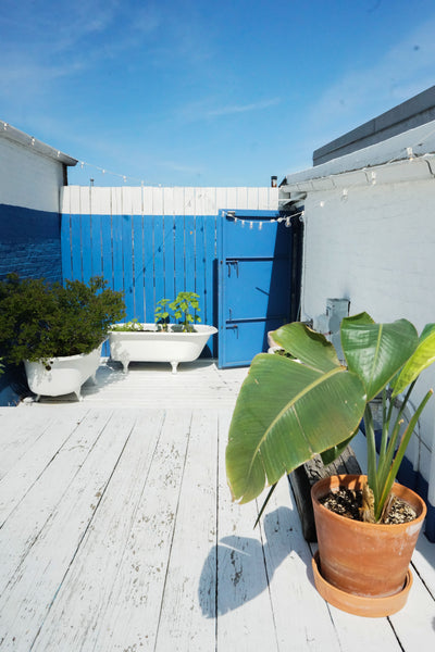 Come take refuge from the hustle and bustle of Brooklyn in our hidden rooftop bu New York, NY Rental unit in Brooklyn · ★5.0 · 1 bedroom · 2 beds · 1 bath Entire rental unit vacation rental 778961842180097549