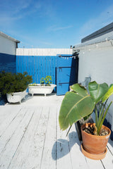 Come take refuge from the hustle and bustle of Brooklyn in our hidden rooftop bu New York, NY Rental unit in Brooklyn · ★5.0 · 1 bedroom · 2 beds · 1 bath Entire rental unit vacation rental 778961842180097549