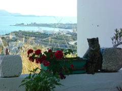 An indipendent house close to Marcello Beach, at an elevated position with an am Garlasco, Italy A traditional greek house (AMA00000086847) Entire home vacation rental 12599111