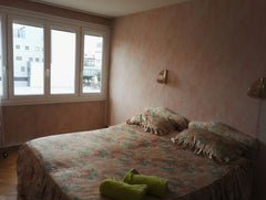 Mon logement est proche du centre ville, de l'art, la culture et des restaurants Lyon, France Appartement T4 à Grange Blanche avec garage Entire rental unit vacation rental 13364127