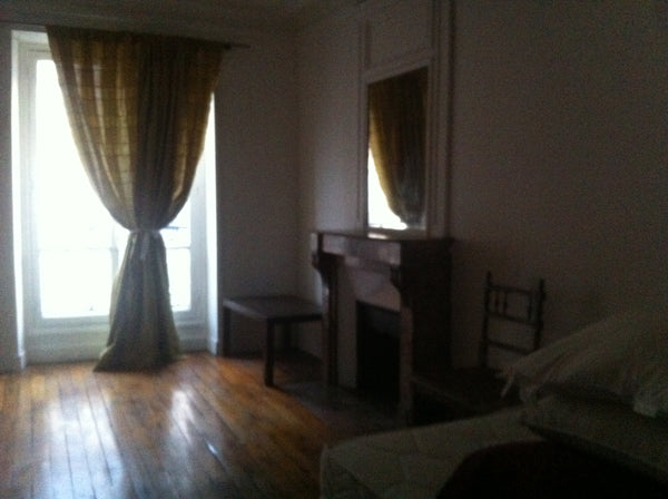 Jolie chambre dans un appartement typiquement parisien. Situé dans le 10ème arro  kris Home Private room in rental unit vacation rental 9726065