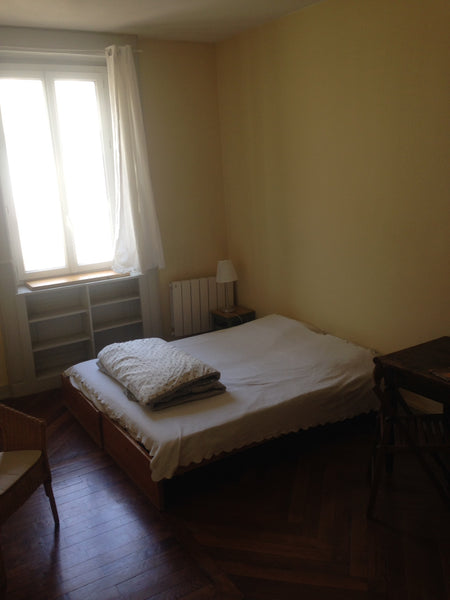 Spacious bedroom, completely furnished with a small bathroom for yoursel. it is  Lyon, France Very spacious room, heart of Lyon Private room in rental unit vacation rental 28503033