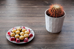 Cozi home, 5 minutes to Central Station.<br /><br /><b>The space</b><br />Antwer Antwerp, Belgium Antwerpen Centrum /Sportpaleis Lotto Arena Private room in home vacation rental 29454542