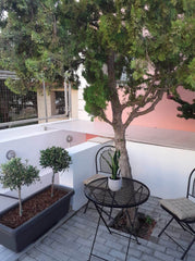 Το Ierapetra mint apartment είναι ένα ημιυπόγειο πλήρως ανακαινισμένο άνετο διαμ Greece Ierapetra mint apartment Entire rental unit vacation rental 44430211