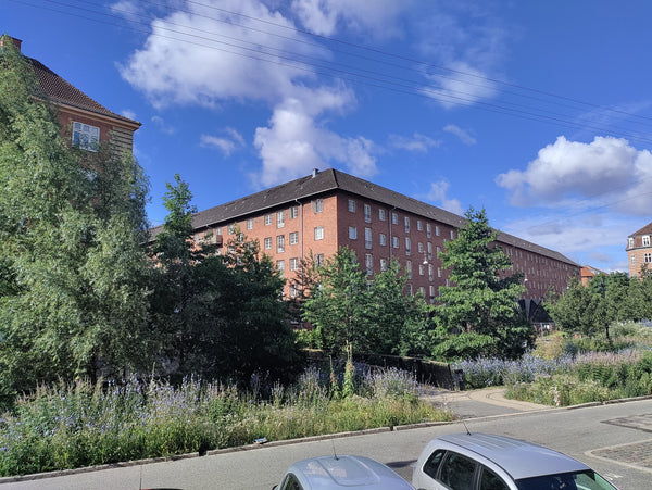 Big family friendly apartment close to the city, the ocean and several green are Copenhagen, Denmark Stor familielejlighed med kæmpe gård Entire condo vacation rental 664090305215945293