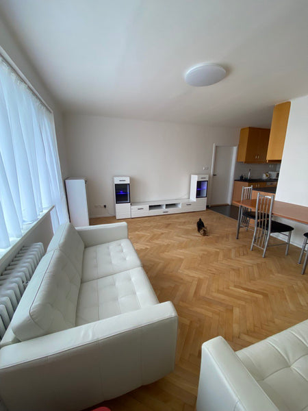 The apartment is located in a quiet area of Prague. Apartment after a major ov  Útulný byt na Praze 4 Entire rental unit vacation rental 594928656370576114