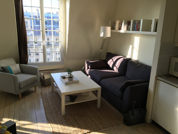 Appartement lumineux plein de charme dans un bâtiment sécurisé. De son 6ème étag Paris, France Two rooms flat near Champs Elysées Entire rental unit vacation rental 12723768