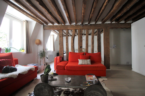 Bienvenue dans mon petit écrin typiquement parisien au charme ancien.<br />Pour  Paris, France Cosy Flat at place de la Concorde ! Entire rental unit vacation rental 18901825