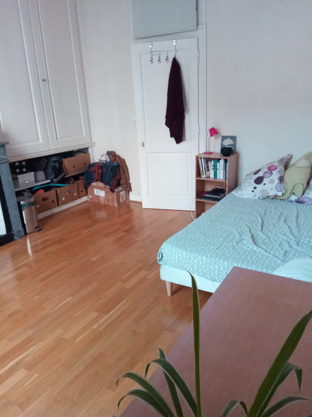 Bonjour !<br />Actuellement en vadrouille, je propose ma chambre. Je vis avec 4  Saint-Marcellin, France Appart Presqu'île Private room in rental unit vacation rental 27862537