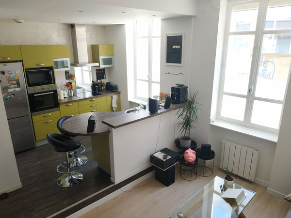 Charmant appartement dans un quartier calme au nord de Montchat Lyon 3e<br />L'a Lyon, France Lyon MontChat Appartement 1 Chambre + Mezzanine Entire rental unit vacation rental 683996305040303599