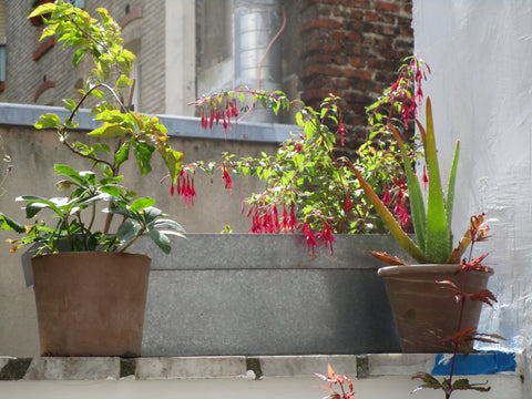 Agréable appartement de 2 pièces, avec une petite terrasse, idéalement situé à P Paris, France Appartement avec petite Terrasse à Père Lachaise Entire rental unit vacation rental 20348609