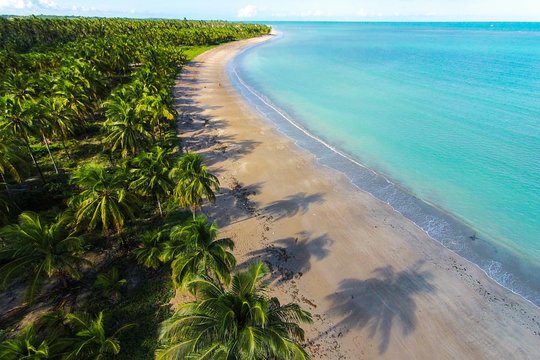 North Coast (Ipioca or Paripueira) (GTE tours)  Private Tours and Travel Guide America Maceio CITY Maceio Destination Tour