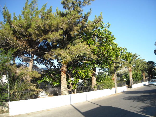 In a beautiful neighborhood of Paleochora, at the South of Crete, just five minu Chania, Greece Protopapas1 Entire rental unit vacation rental 19128862