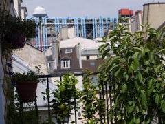 200m from the Centre Pompidou, in the heart of the Marais, bright 3 room duplex  Paris, France Marais-Pompidou : Duplex Terrace 3 rooms 70m2 Private room in rental unit vacation rental 3371946