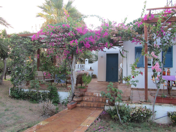 Little villa with two bedrooms, en suite bathroom, living room, kitchen, large p Gournes Gouvon, Greece The Villa in the Garden Entire villa vacation rental 10300766