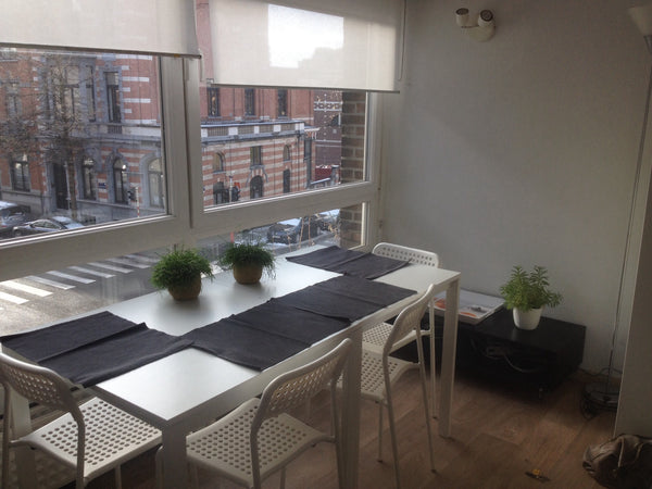 Excellent emplacement<br />appartement lumineux,<br />proche des commerces et tr Mouvaux, France Appartement fonctionnel Bruxelles. Prox Av Louise Entire rental unit vacation rental 16332439