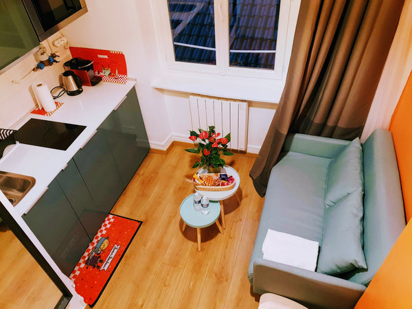 NOUS PROPOSONS UNE REDUCTION POUR LES SEJOURS SUPERIEURS A 5 JOURS, CONTACTEZ NO Lyon, France Capucine-Confort Studio Lyon Auditorium*Netflix Entire rental unit vacation rental 28099956