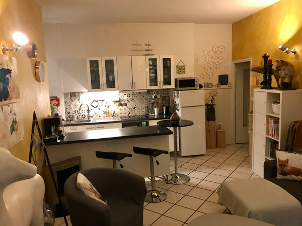 Appartement au 1er étage avec une chambre dans un immeuble donnant sur cours, do Lyon, France Appartement 1 chambre, 4 couchages Entire condo vacation rental 39914088