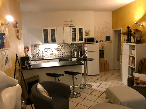 Appartement au 1er étage avec une chambre dans un immeuble donnant sur cours, do Lyon, France Appartement 1 chambre, 4 couchages Entire condo vacation rental 39914088