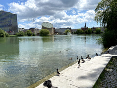  Denmark Cosy apartment close to the Lakes and city centre Entire condo vacation rental 660800420356010611