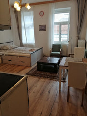 Merkezî bir konumda bulunan bu yerde kalırsanız ailece her yere yakın olacaksını Vienna, Austria Gemütliches Apartment im Zentrum von Wien Entire rental unit vacation rental 683362401215479888