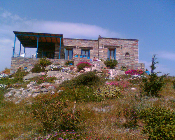 Traditional stone house, built above the rocks in a 4 acres estate, with stunnin Greece Traditional stoned house in Kape Kavo Doro Cycladic home vacation rental 28241550
