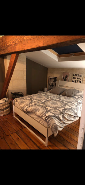 <b>Guest access</b><br />Logement entier sauf dressing Bordeaux, France T2 situé au centre des chartrons Entire rental unit vacation rental 44794028