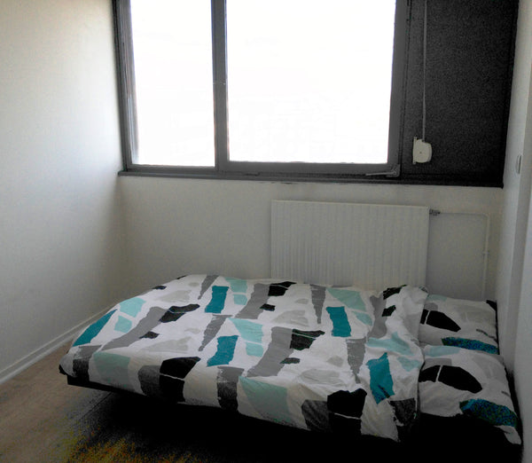 Situé à moins de 10 min à pied de la Part Dieu, l’appartement se trouve dans un  Lyon, France Coquet T2 gorgé de soleil Entire rental unit vacation rental 22114429