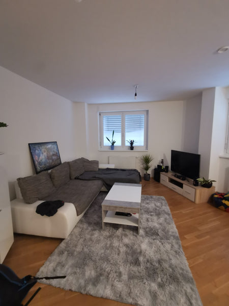 Vergiss deine Sorgen – in dieser geräumigen und ruhigen Unterkunft.  Schöne Ruhige 50m2 Wohnung in Wien! Entire condo vacation rental 568596514744404405
