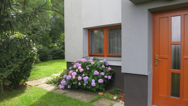 A cozy room in Prague 6, close to the airport, 30 min to the centre of town... a Prague, Czechia A little flat in Prague 6 Private room in home vacation rental 11154857