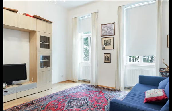 Hey Guys! I am renting out my nice flat in the heart of Vienna.  <br />The place  Classic Entire condo vacation rental 608381854246114807