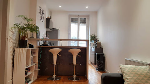Appartement récemment rénové dans un immeuble ancien avec ascenseur. Pas de vis- Lyon, France T2 Place Guichard / Bourse du travail Entire rental unit vacation rental 21643414