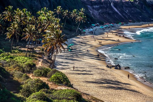 Pipa Beach from Natal  Private Tours and Travel Guide America Fortaleza CITY Natal Destination Tour