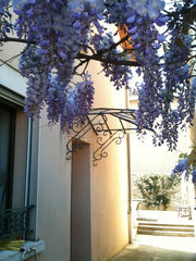 Nous vivons à 5 dans notre petite maison avec jardin, dans un quartier calme, à  Lyon, France Maison Lyon - Hôpitaux Monplaisir Entire home vacation rental 9073925