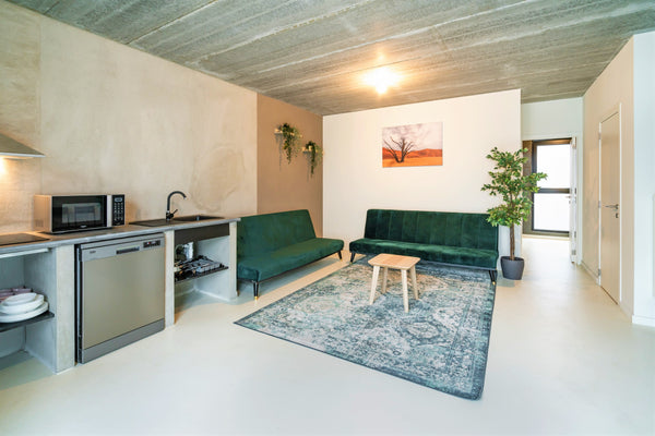 Bright and beautiful newly built apartment, very close to the charming Riverside Antwerp, Belgium The Antwerp Old City Apartments 202 Entire rental unit vacation rental 52749596