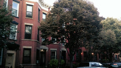 The apt is just steps away from the Atlantic Subway Station (so you'll have easy New York, NY Townhouse in New York · ★4.56 · 2 bedrooms · 2 beds · 1 bath Entire townhouse vacation rental 13990841