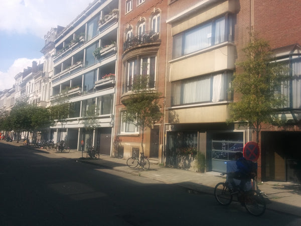 Prachtig gerenoveerd huis op het bruisende Antwerpen Zuid met inpandige garage e Antwerp, Belgium Antwerpen-Zuid, prachtig huis met tuin en garage Entire townhouse vacation rental 44400172