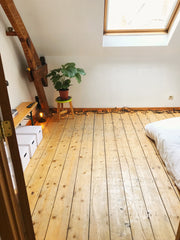 Female guests only!<br /><br />Cosy, bright apartment, overlooking a quiet stree Antwerp, Belgium Quiet and cosy room in artist apartment. Private room in rental unit vacation rental 33864760