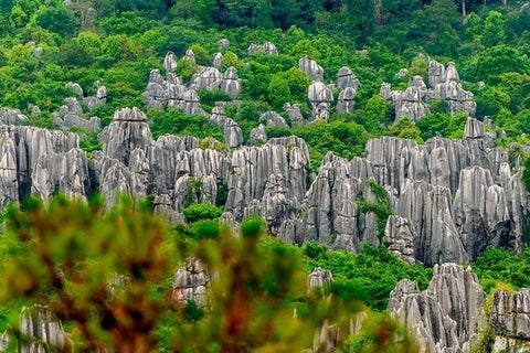 Full Day Private Tour in Stone Forest on Kunming  Private Tours and Travel Guide Asia Shanghai CITY Kunming Destination Tour Asia Shanghai CITY Kunming