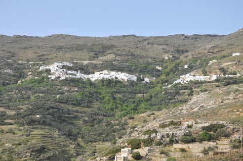 Στο κτήμα μας στην Τήνο, νοικιάζουμε τον ξενώνα μας με 2 δωμάτια, mini bar, park Athens, Greece Εξοχικό σπίτι στην Τήνο με θέα την Σύρο Entire home vacation rental 19148937