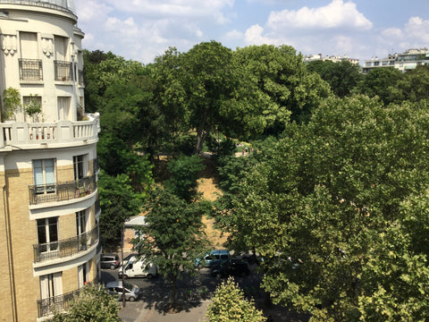 Appartement cosy et moderne avec une vue sur le parc des Buttes Chaumont, quarti Paris, France appartement avec vue sur les Buttes Chaumont Entire rental unit vacation rental 20008476