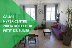 Appartement chaleureux, équipé (56 m2) et idéalement situé à quelques pas de la  Lyon, France Appartement Bellecour idéalement situé 56m2 Entire rental unit vacation rental 24959319